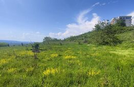 Teren Panoramic 15.500 mp – Investiție sau Dezvoltare, Zona Aleea Manastirii