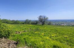 Teren Panoramic 15.500 mp – Investiție sau Dezvoltare, Zona Aleea Manastirii