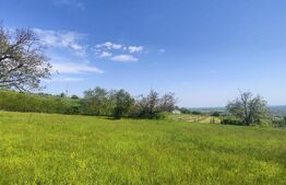 Teren Panoramic 15.500 mp – Investiție sau Dezvoltare, Zona Aleea Manastirii