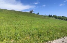 Teren Panoramic 15.500 mp – Investiție sau Dezvoltare, Zona Aleea Manastirii