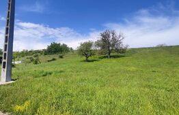 Teren Panoramic 15.500 mp – Investiție sau Dezvoltare, Zona Aleea Manastirii