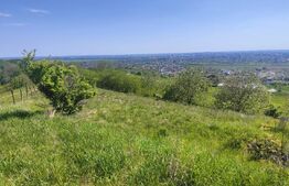Teren Panoramic 15.500 mp – Investiție sau Dezvoltare, Zona Aleea Manastirii