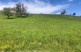 Teren Panoramic 15.500 mp – Investiție sau Dezvoltare, Zona Aleea Manastirii