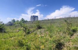 Teren Panoramic 15.500 mp – Investiție sau Dezvoltare, Zona Aleea Manastirii