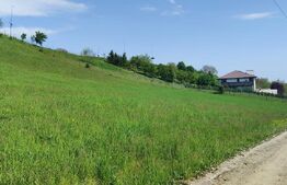 Teren Panoramic 15.500 mp – Investiție sau Dezvoltare, Zona Aleea Manastirii