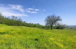 Teren Panoramic 15.500 mp – Investiție sau Dezvoltare, Zona Aleea Manastirii