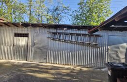 Gospodărie completă, casă 140 mp, teren 770 mp - zona Găești 