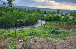 Teren intravilan, 1295 mp, oportunitate de investitie, zona Aleea Manastirii