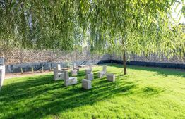 🏡 Proprietate Premium - 2 Case, Lac Privat & Teren de Sport –2 km de Centru Tgv