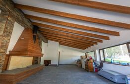 🏡 Proprietate Premium - 2 Case, Lac Privat & Teren de Sport –2 km de Centru Tgv