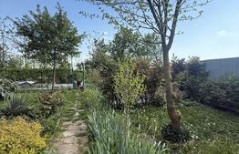 Casă superbă în Mărginenii de Sus – 