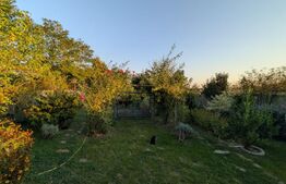EXCLUSIV | CASĂ INDIVIDUALĂ – 238 MP UTILI | TEREN 3.800 MP | CONSTRUCȚIE 2015