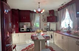 EXCLUSIV | CASĂ INDIVIDUALĂ – 238 MP UTILI | TEREN 3.800 MP | CONSTRUCȚIE 2015