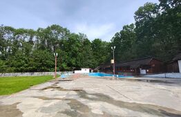 Piscină Funcțională, Foișor Mare, Grătar & Parcare, 500 mp, zona Dragomiresti