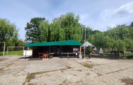 Piscină Funcțională, Foișor Mare, Grătar & Parcare, 500 mp, zona Dragomiresti
