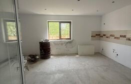 Vilă P+1, teren 1.027 mp, Gura Sutii