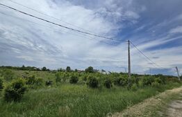 Teren intravilan, vizibilitate maximă, 3.000 mp, zona Costeștii Din Deal