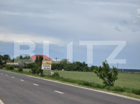 Teren de vânzare Costestii din Deal - 195958TV | BLITZ Târgoviște | Poza5