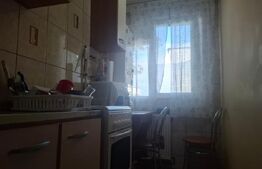 Apartament de vanzare, 40 mp, etaj 1, zona  superba si linistita
