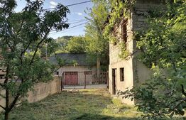 Casă la rRșu cu Livadă, Teren 1000 mp.  Gemenea Brătulești 🌳