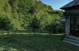Casă la rRșu cu Livadă, Teren 1000 mp.  Gemenea Brătulești 🌳
