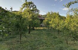 Casă la rRșu cu Livadă, Teren 1000 mp.  Gemenea Brătulești 🌳