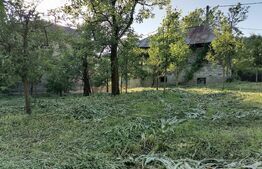 Casă la rRșu cu Livadă, Teren 1000 mp.  Gemenea Brătulești 🌳