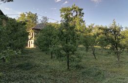 Casă la rRșu cu Livadă, Teren 1000 mp.  Gemenea Brătulești 🌳