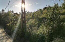Vand teren intravilan (7322mp) + extravilan (7078mp)