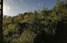 Vand teren intravilan (7322mp) + extravilan (7078mp)