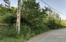 Vand teren intravilan (7322mp) + extravilan (7078mp)