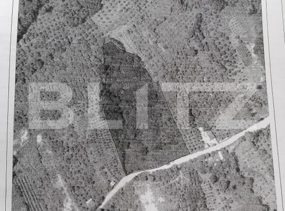 Teren de vânzare Gemenea-Bratulesti - 196485TV | BLITZ Târgoviște | Poza2