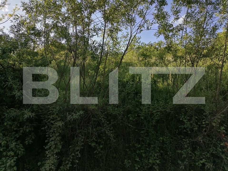 Teren de vânzare Gemenea-Bratulesti - 196485TV | BLITZ Târgoviște | Poza7