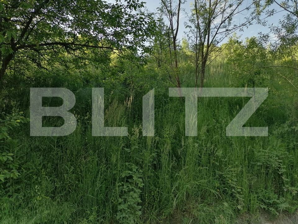 Teren de vânzare Gemenea-Bratulesti - 196485TV | BLITZ Târgoviște | Poza6