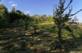 Livada + padure + teren extravilan, 14.400 mp, zona Gemenea-Bratulesti
