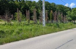 Hulubești, Butoiu de Jos Teren intravilan cu Panoramă Superbă către Pădure 
