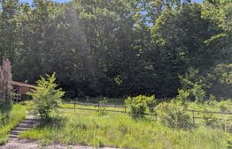  Hulubești, Butoiu de Jos Teren intravilan cu Panoramă Superbă către Pădure 