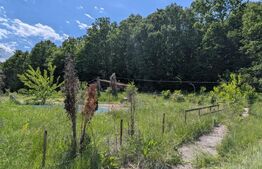  Hulubești, Butoiu de Jos Teren intravilan cu Panoramă Superbă către Pădure 