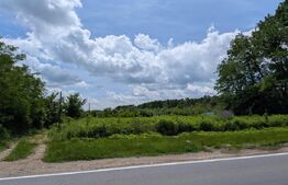 Teren extravilan, 12700 mp, oportunitate de investitie, zona Priseaca