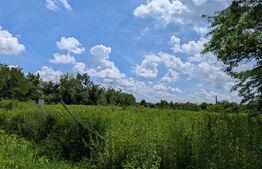 Teren extravilan, 12700 mp, oportunitate de investitie, zona Priseaca