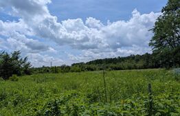 Teren extravilan, 12700 mp, oportunitate de investitie, zona Priseaca