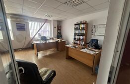 Hale Industriale + Showroom + Birouri - Acces TIR, 1120 mp, zona Găești