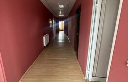 Hale Industriale + Showroom + Birouri - Acces TIR, 1120 mp, zona Găești