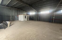 Hale Industriale + Showroom + Birouri - Acces TIR, 1120 mp, zona Găești