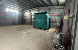 Hale Industriale + Showroom + Birouri - Acces TIR, 1120 mp, zona Găești