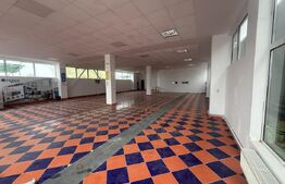 Hale Industriale + Showroom + Birouri - Acces TIR, 1120 mp, zona Găești