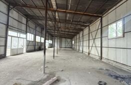 Hale Industriale + Showroom + Birouri - Acces TIR, 1120 mp, zona Găești