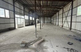 Hale Industriale + Showroom + Birouri - Acces TIR, 1120 mp, zona Găești