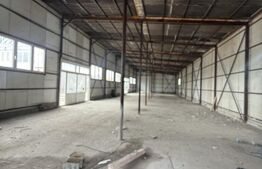 Hale Industriale + Showroom + Birouri - Acces TIR, 1120 mp, zona Găești