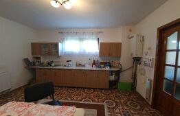 Vilă cu 5 camere, 280 mp, livadă pe rod, zona Valea Voievozilor